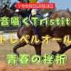 雨音囁くTristitia　トレベルオール　青春の挫折